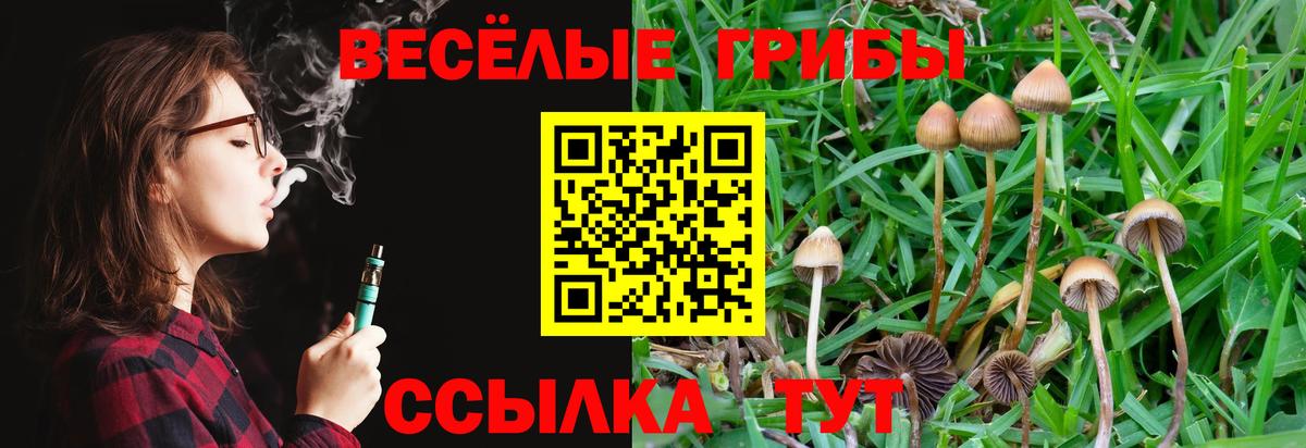 Галлюциногенные грибы прущие грибы  Галлюциногенные грибы Cubensis  где купить наркотик  Кохма  Вход с VPN 