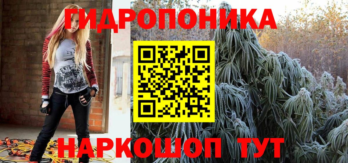 Бошки Шишки SATIVA & INDICA  Шишки марихуана план  Вход с VPN  Кохма 